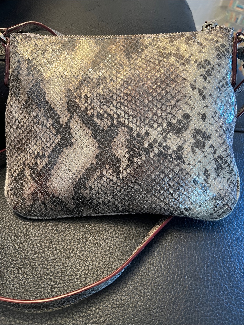 kate spade Metallic Snake-Print Crossbody Bag - Silver and Black - Picture 4 of 8